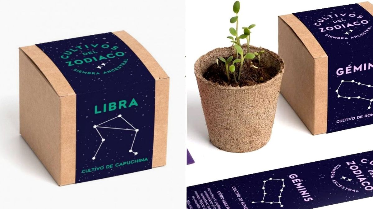 regalo para amantes plantas y astrologia