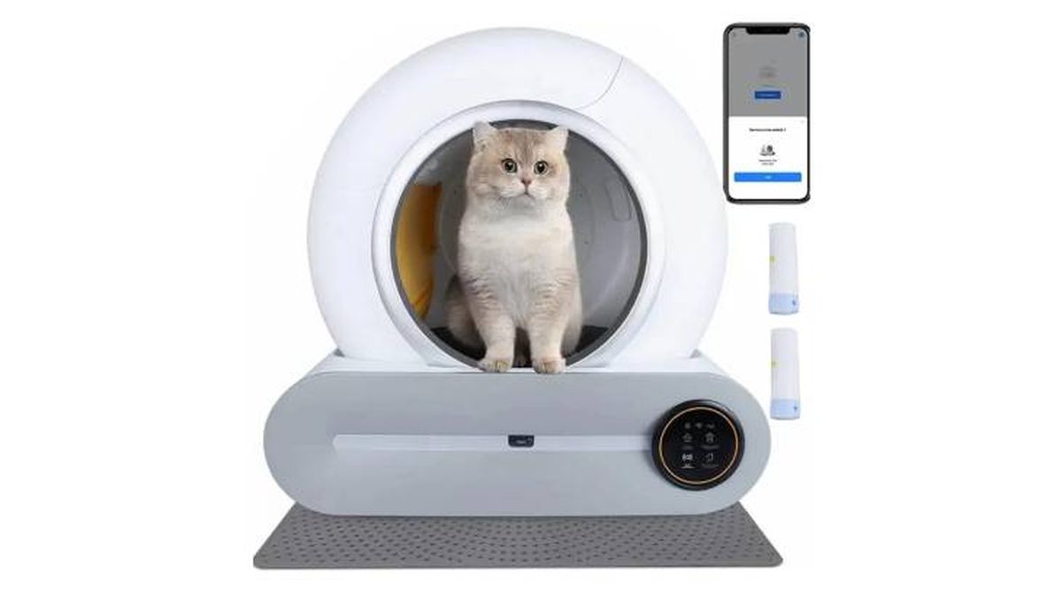 moxac arenero autolimpiable amazon