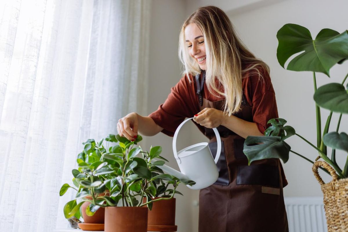Mujer regando las plantas de su casa