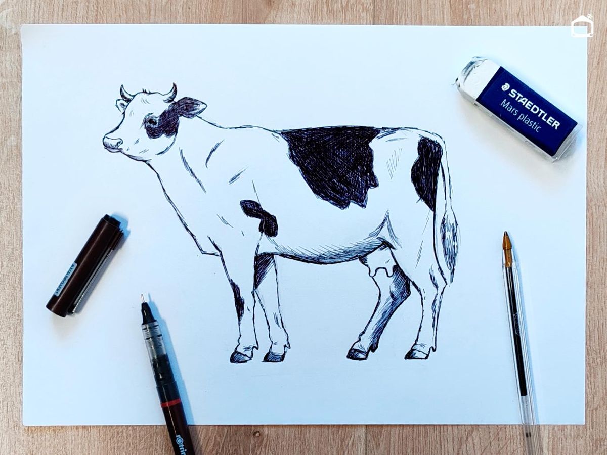 Dibujo de vaca realista hecha a boli.