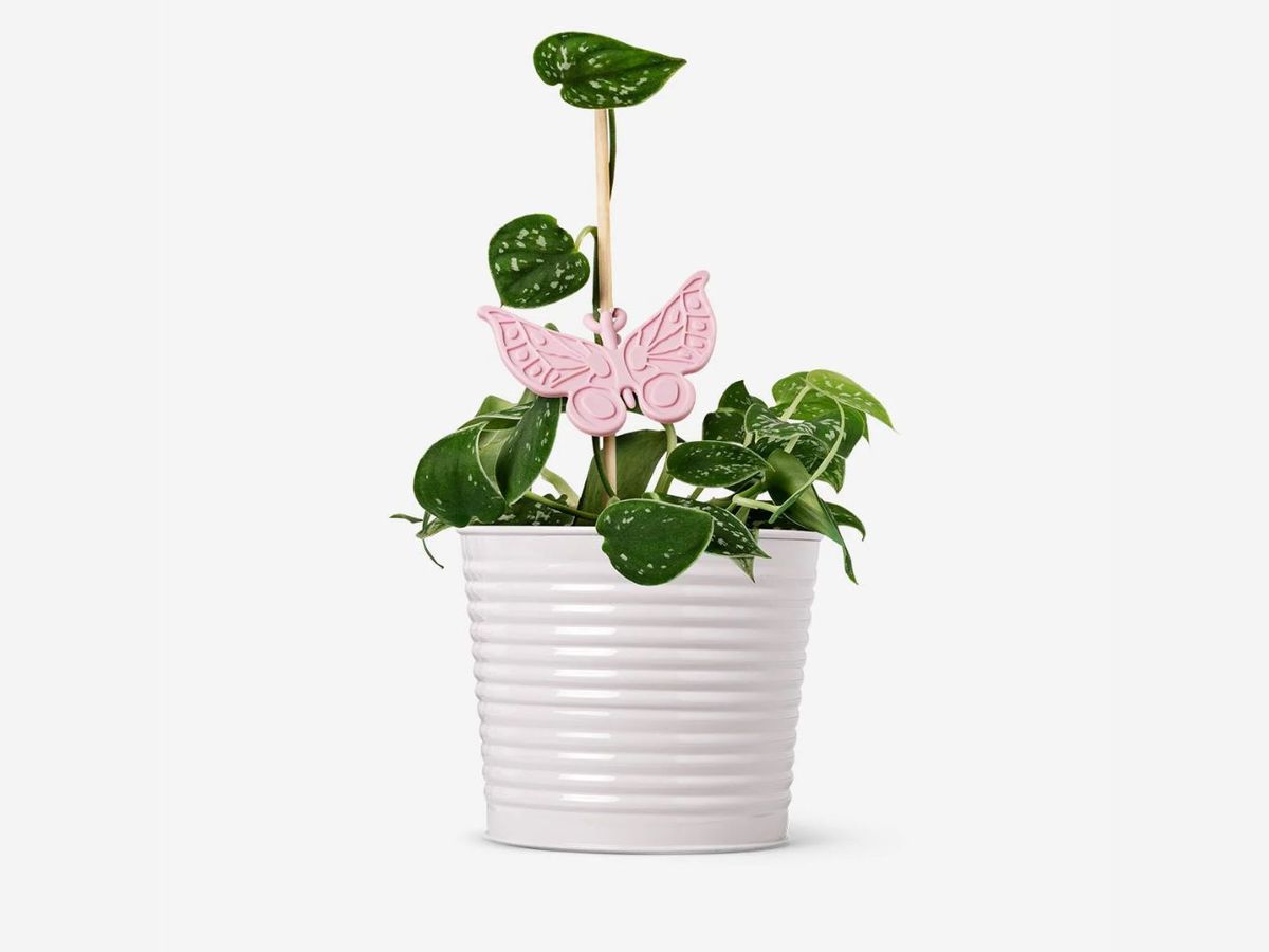 Soportes para plantas en forma de mariposa