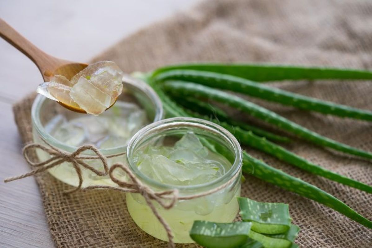 Gel de aloe vera para la piel