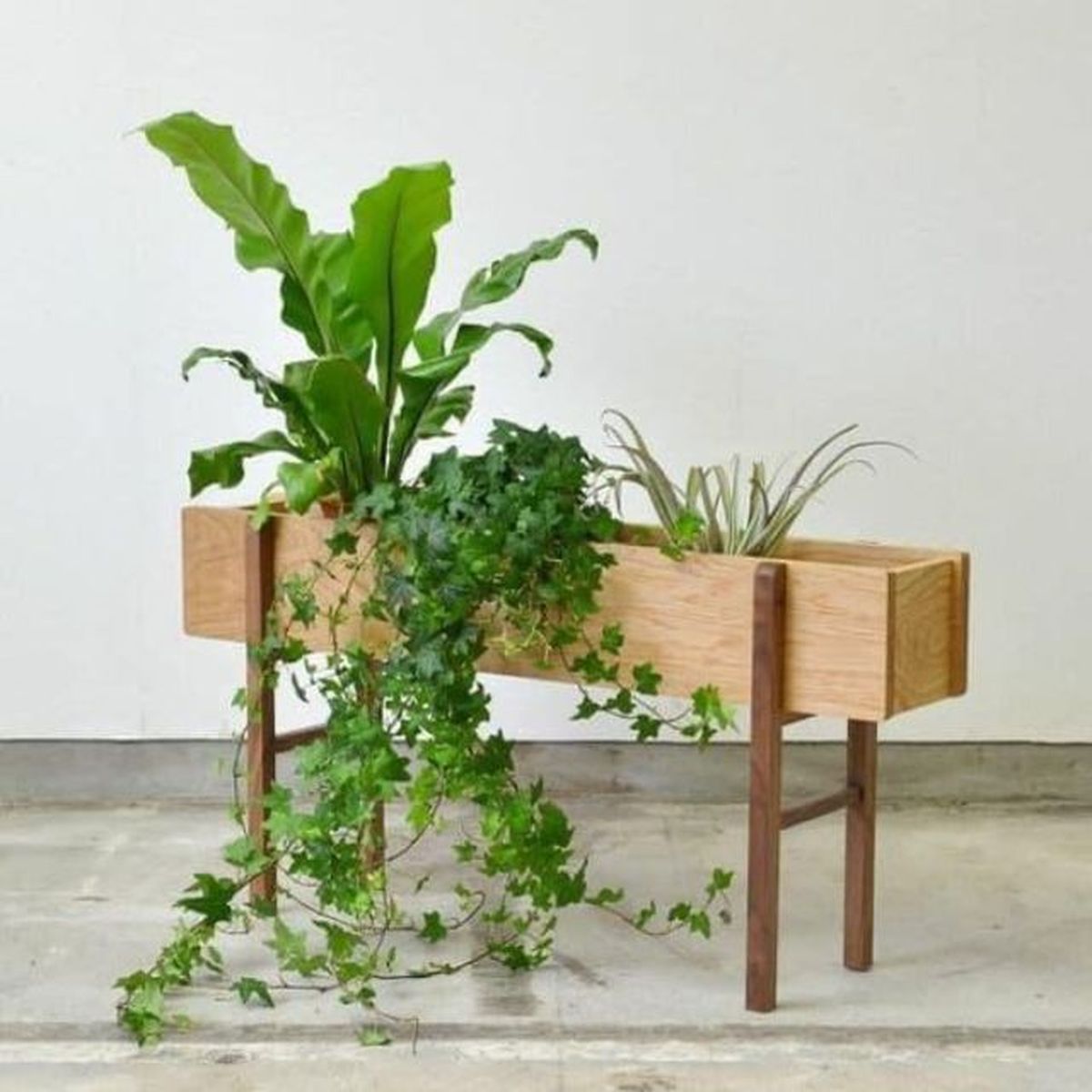 caja de vino como macetero con patas