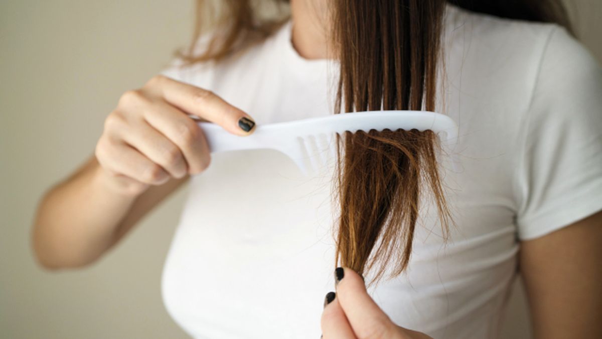 acondicionador sin aclarado o como lucir una melena hidratada y con brillo en menos tiempo peine 1