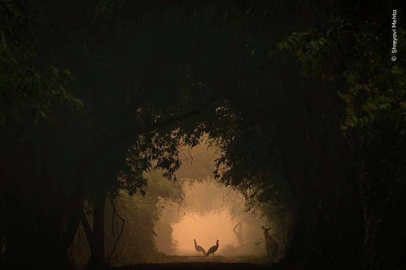 In the Spotlight.