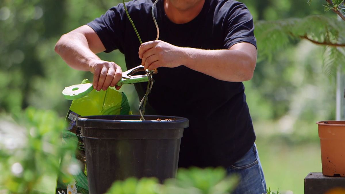 brico 915 3 tronco espiral paso 4