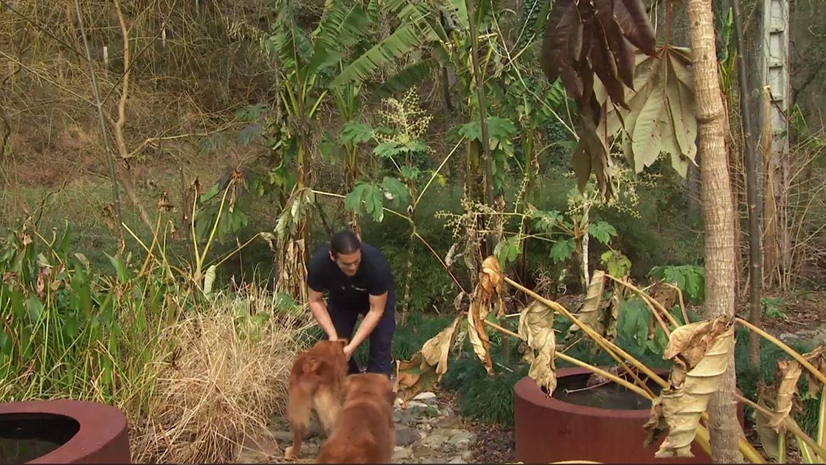 deco 760 jardin programacion 8 9 febrero 2020