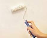 brico 0498 1 pintura cubre manchas paso 3