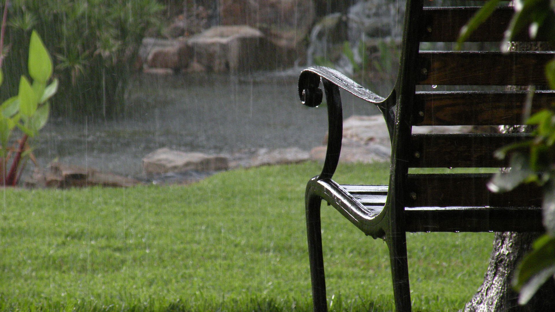 lluvia otono