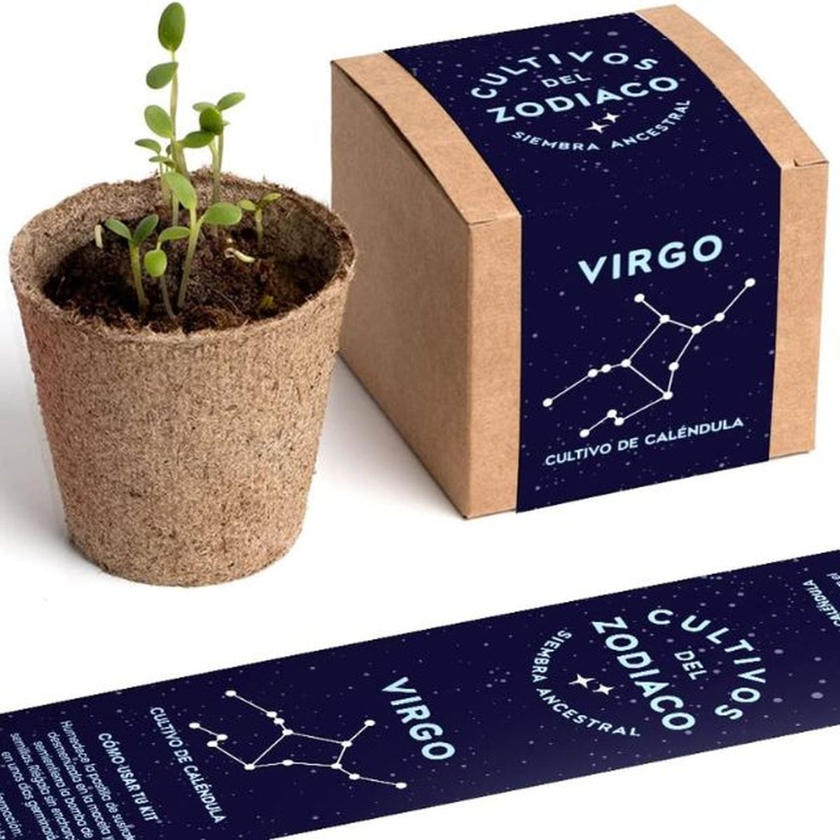 kit autocultivo virgo resetea