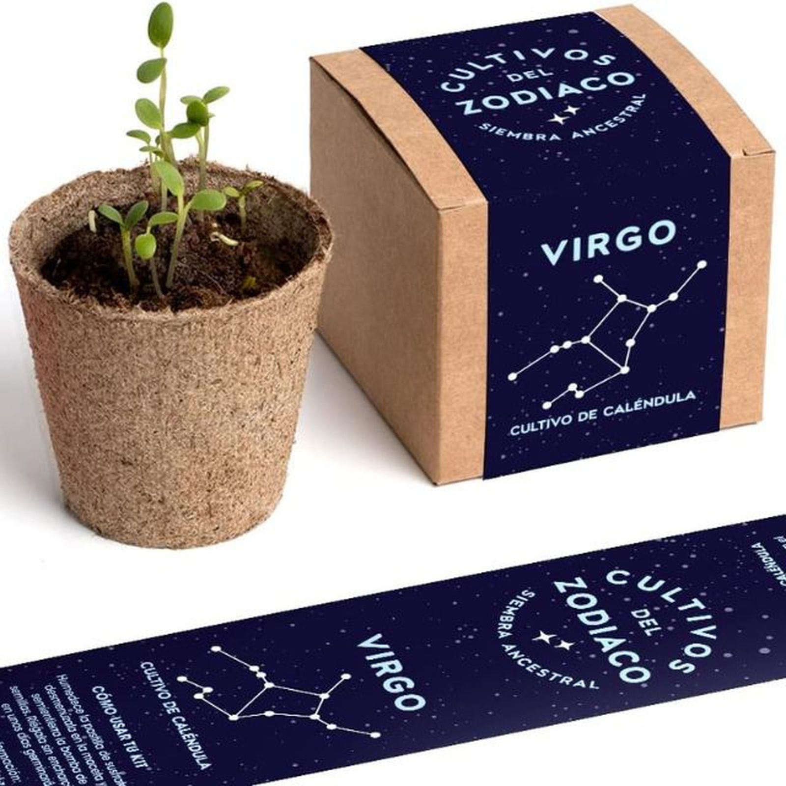 kit autocultivo virgo resetea