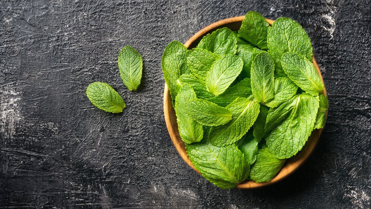 remedio natural menta