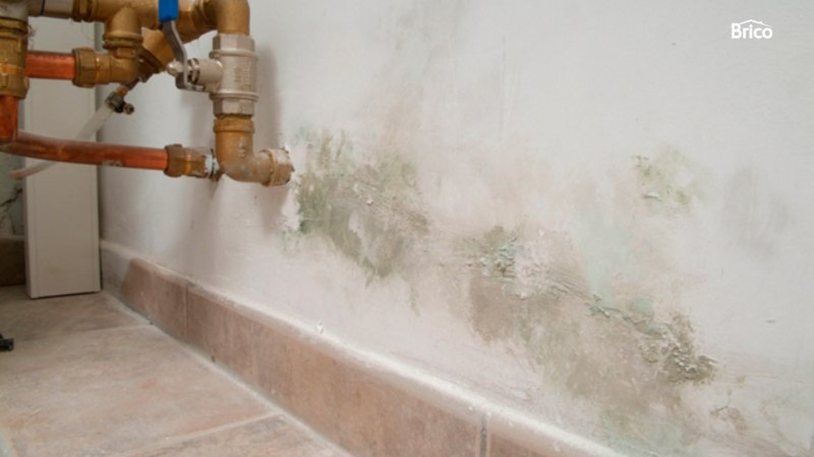 Manchas de moho en una pared blanca