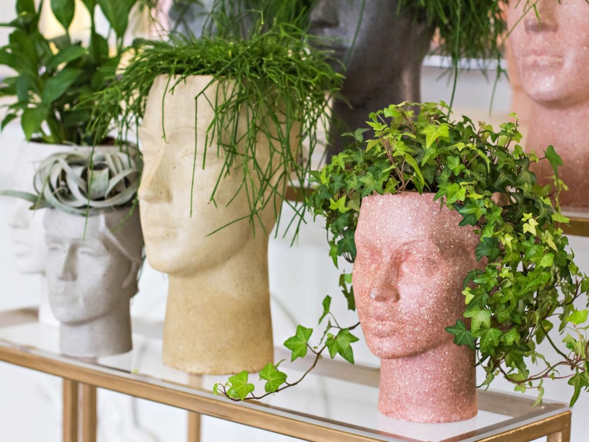 Algunas colgantes tienen la capacidad que parecer pelo en las macetas