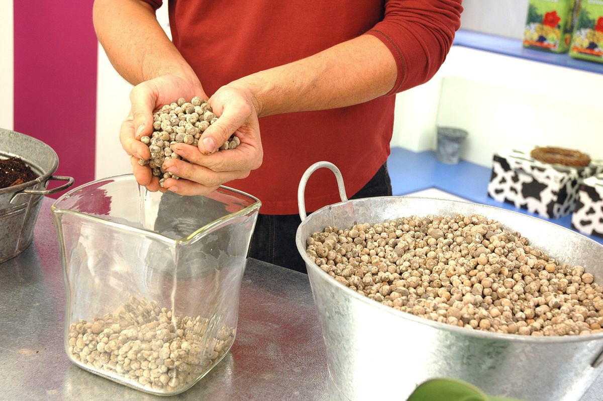 Plantar en jarrones de cristal p1