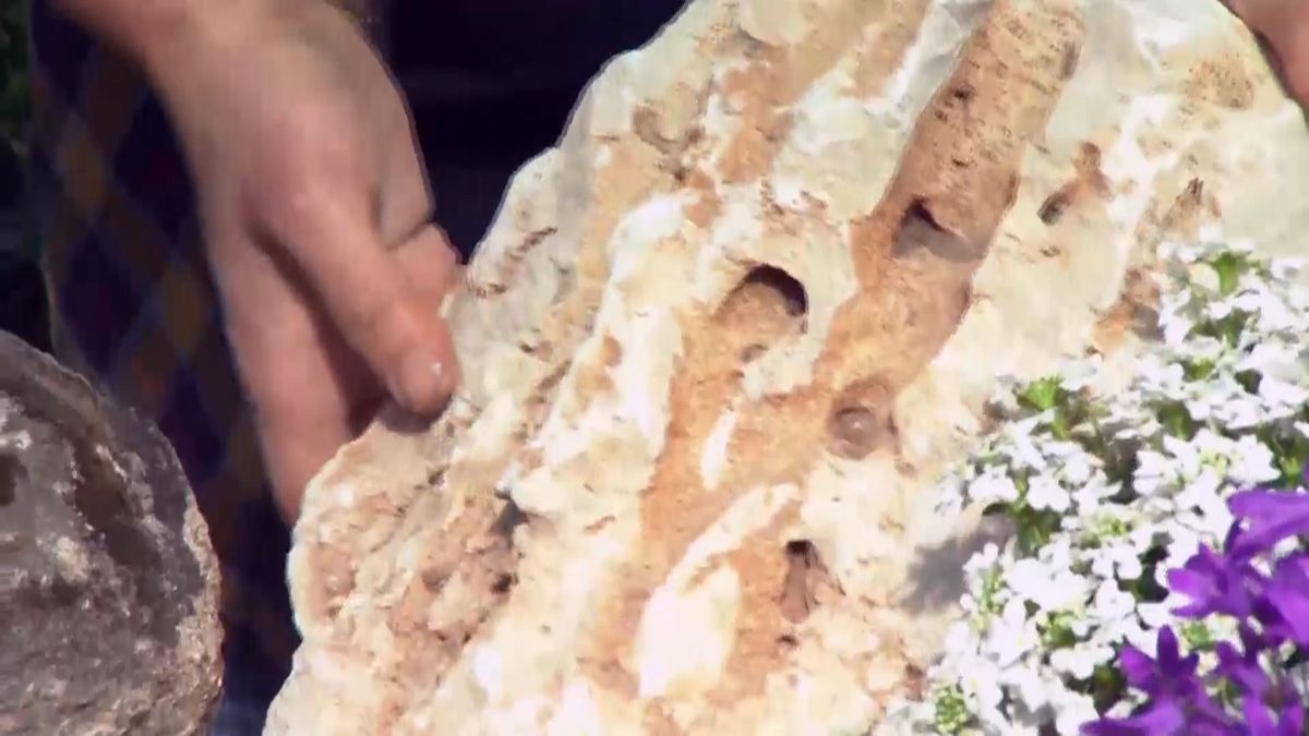 deco 687 plantas rocalla roca caliza