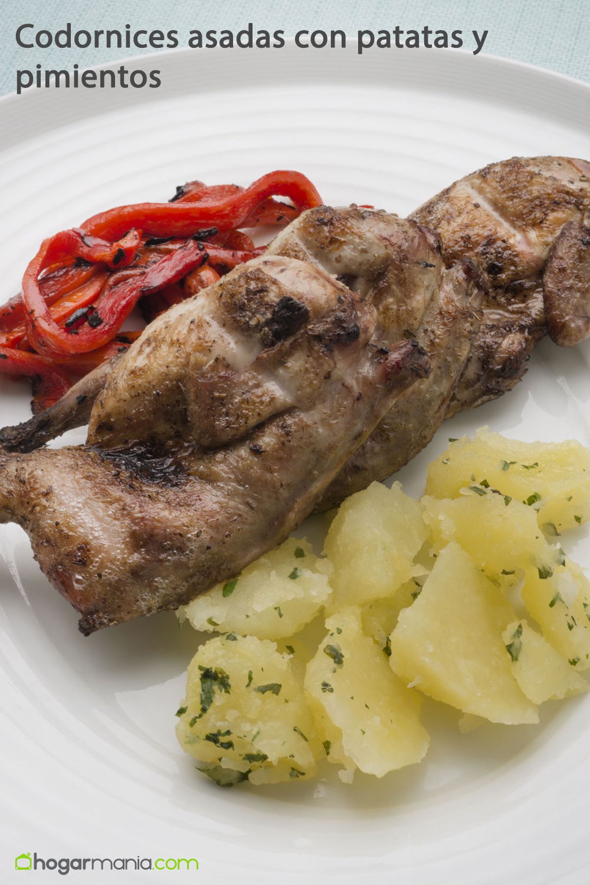 codornices asadas pinterest