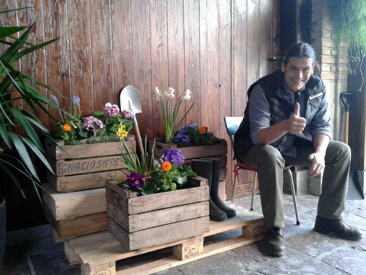 Jardineras con cajas de fruta