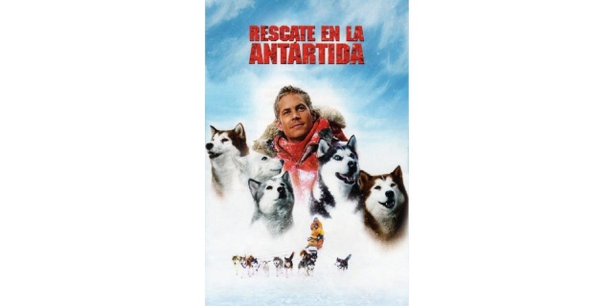 peliculas de perros bajo cero