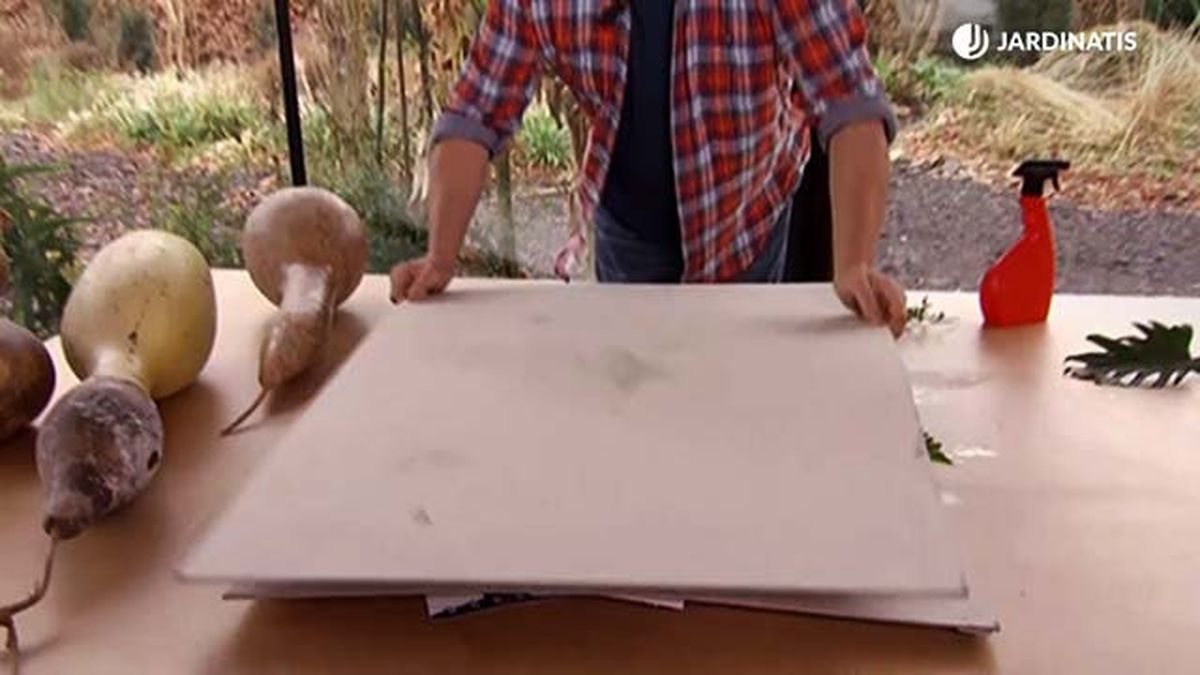 deco 683 prensado hojas secas hongos paso 3