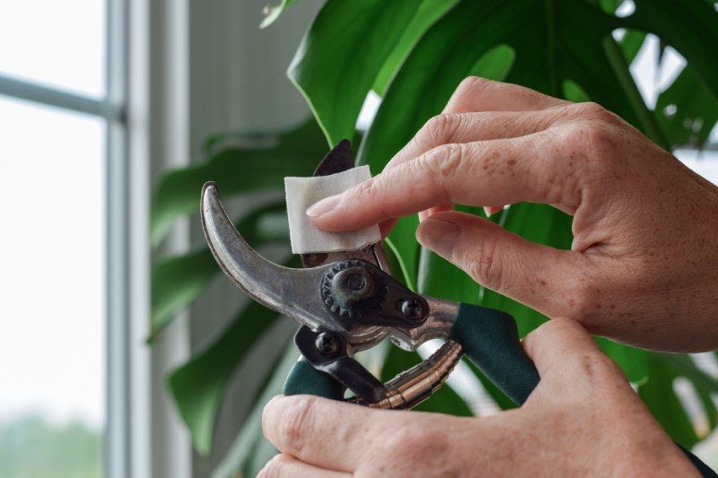 Mantener limpiar las herramientas de jardinería alarga su duración