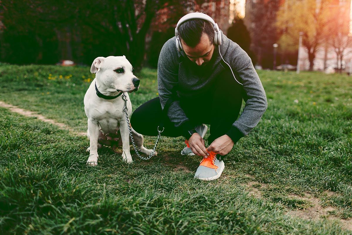 mascotas perros reducir estres ejercicio