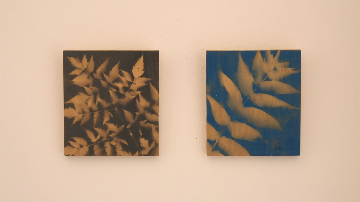 Cómo hacer cuadros con hojas y pintura