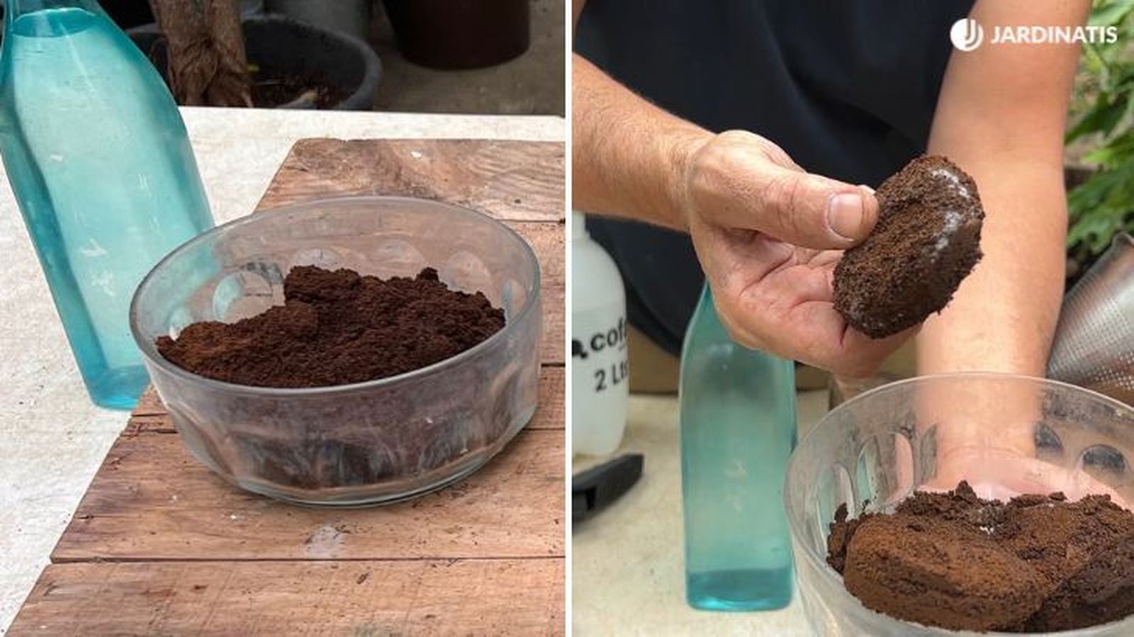 Los posos de café deben de estar secos para poder utilizarlos en las plantas