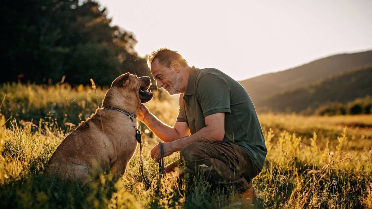 Despedirse con cariño y gratitud es el mayor gesto de amor hacia un amigo fiel.