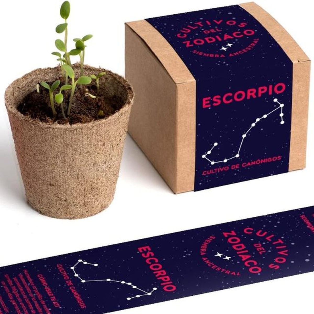 kit autocultivo escorpio resetea