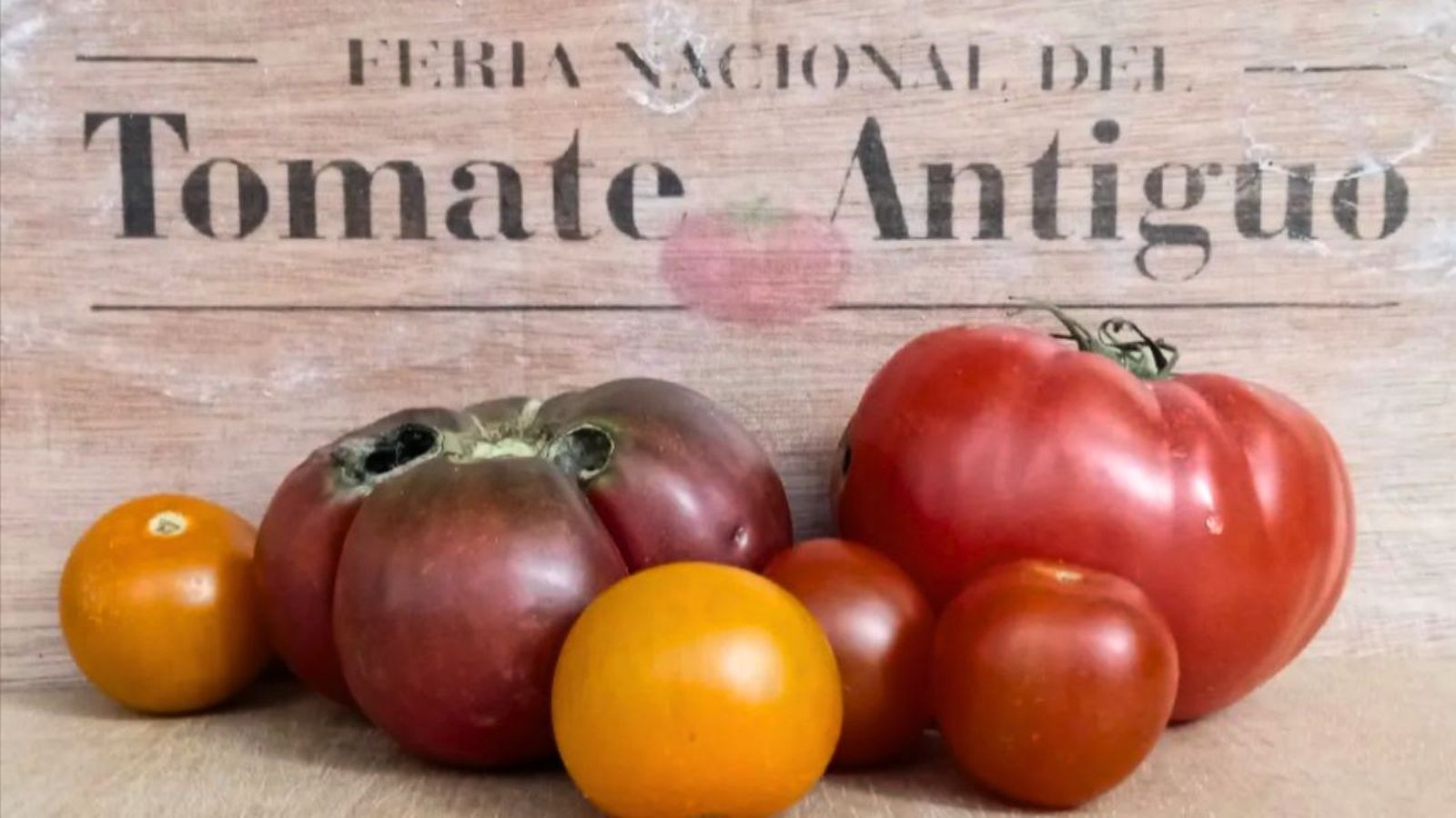 VI edición de la feria del tomate