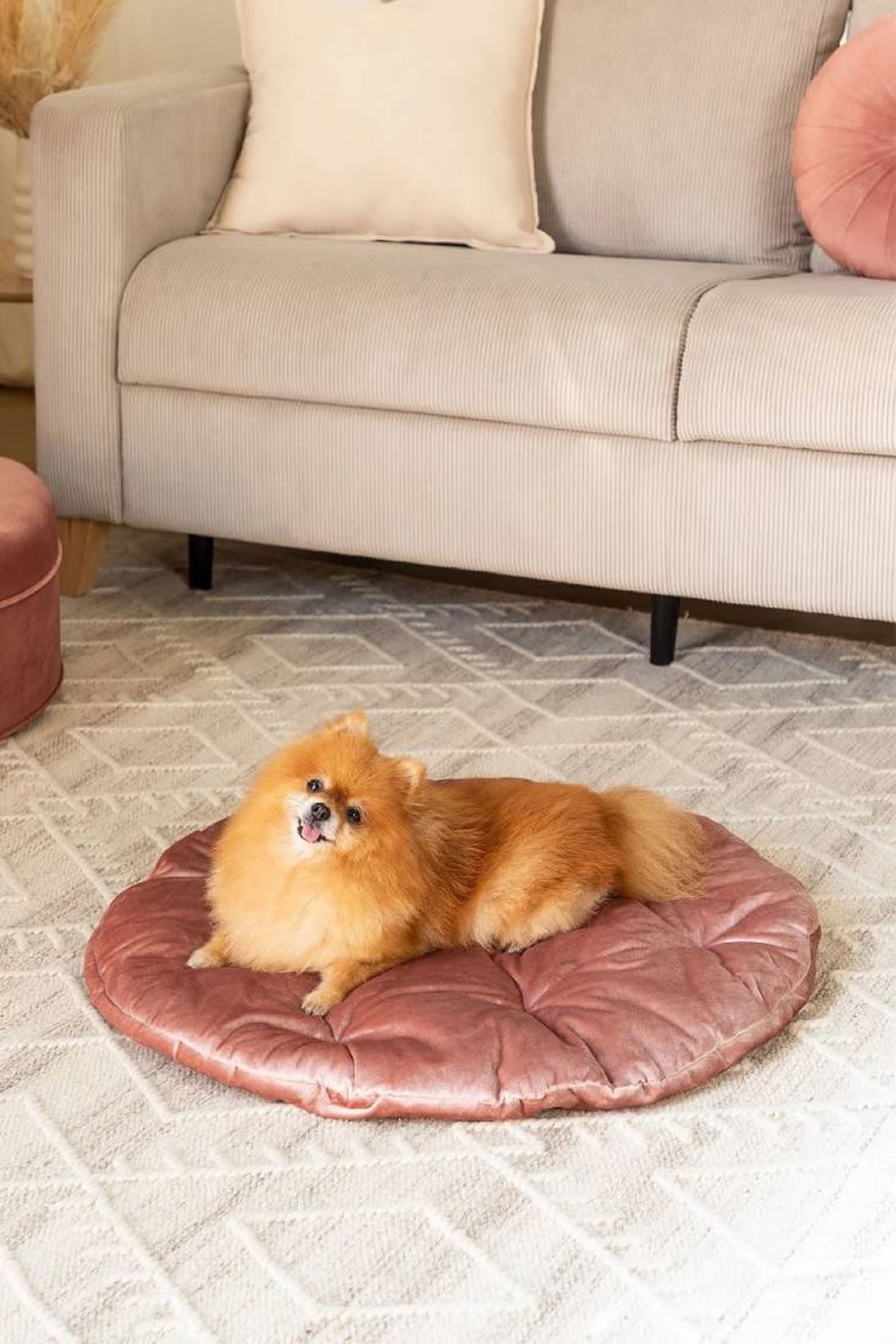 cama perros slotie sklum