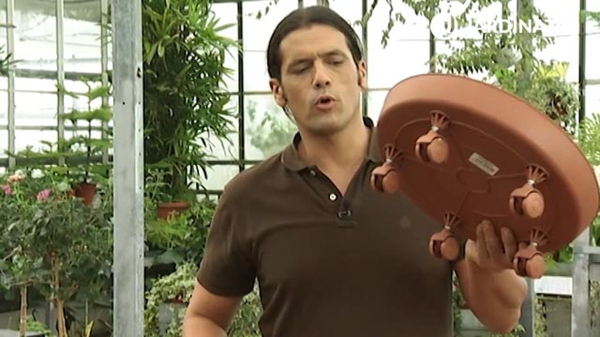 plato giratorio para  plantas de interior deco 405