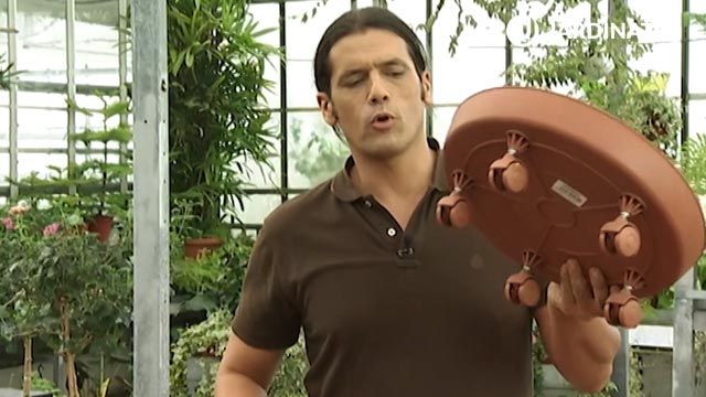 plato giratorio para  plantas de interior deco 405