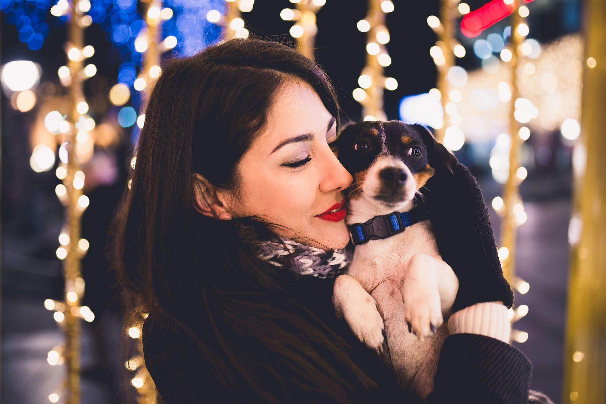 Los perros suelen ser las mascotas más afectadas ante los cohetes y petardos.