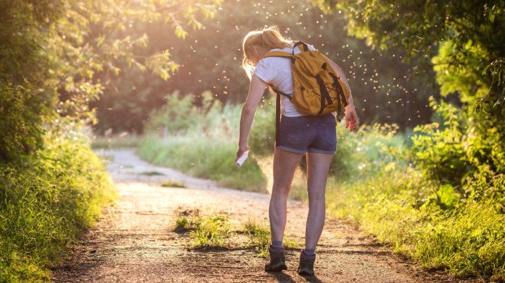 que pasaria si desaparecieran los mosquitos 9