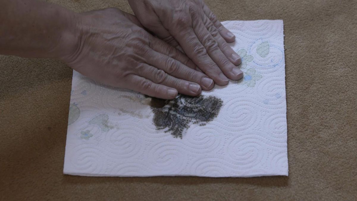 alfombras moquetas manchas profundas antes despues