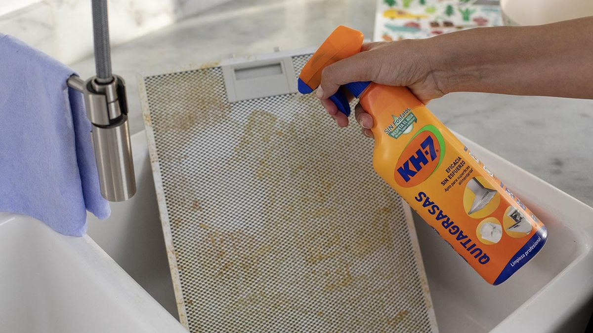 limpia y desinfecta el horno microondas sarten con el mismo producto quitagrasas rejilla