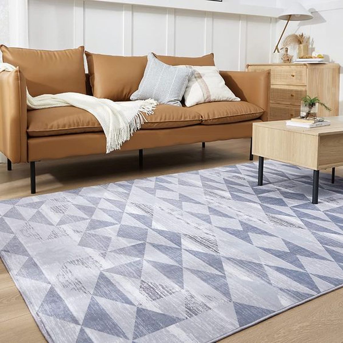 salon alfombra desgastada 15