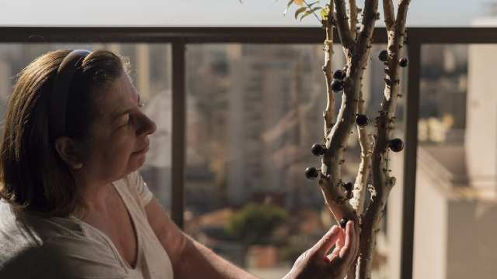 frutal plantado en maceta en el balcon