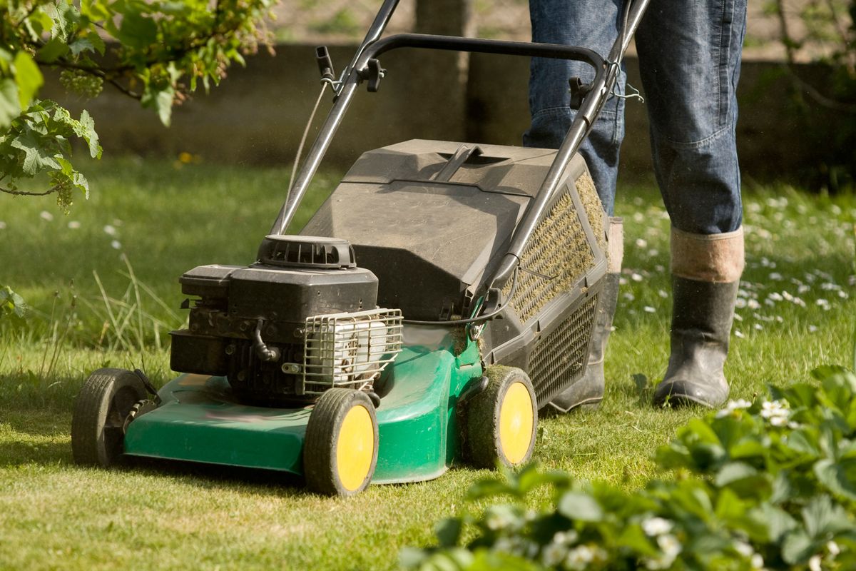tipos de cortacesped xl