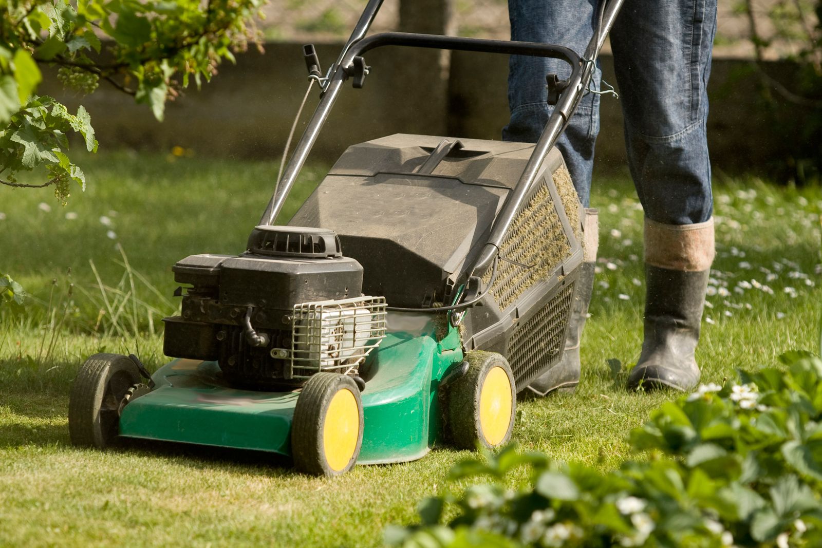 tipos de cortacesped xl