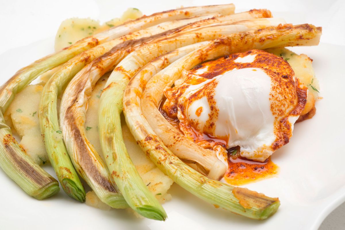 5654 1 Puerros con pure de patata y huevo escalfado (1039) xl