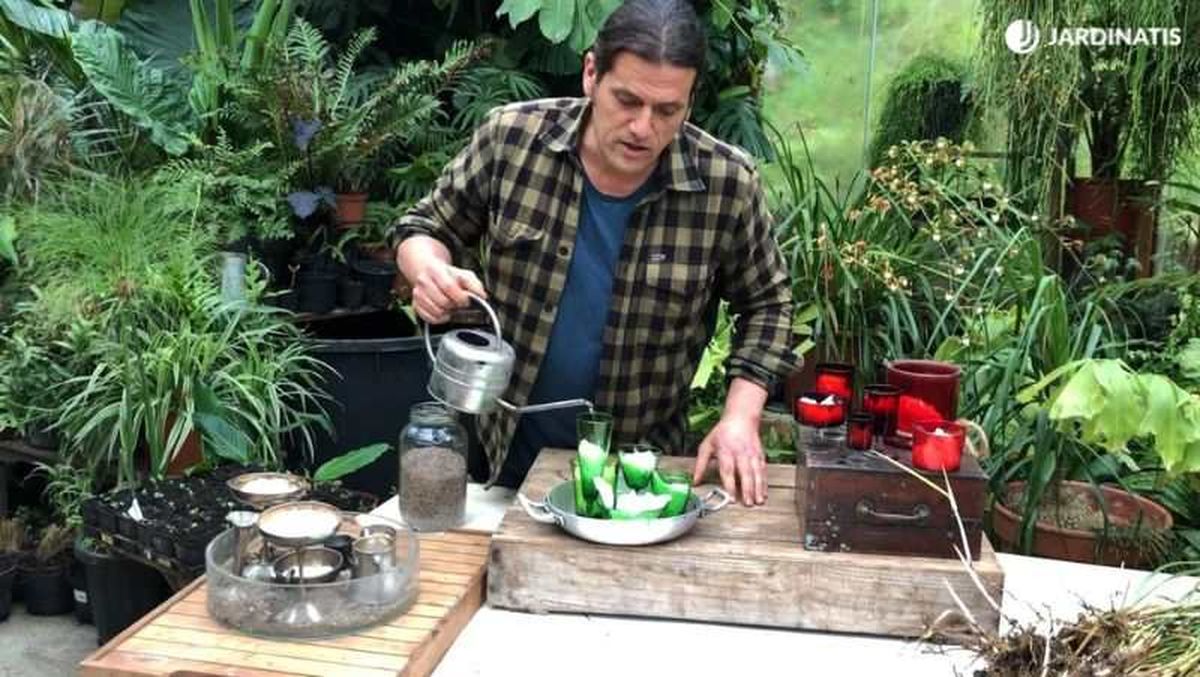 Humedece el papel higiénico