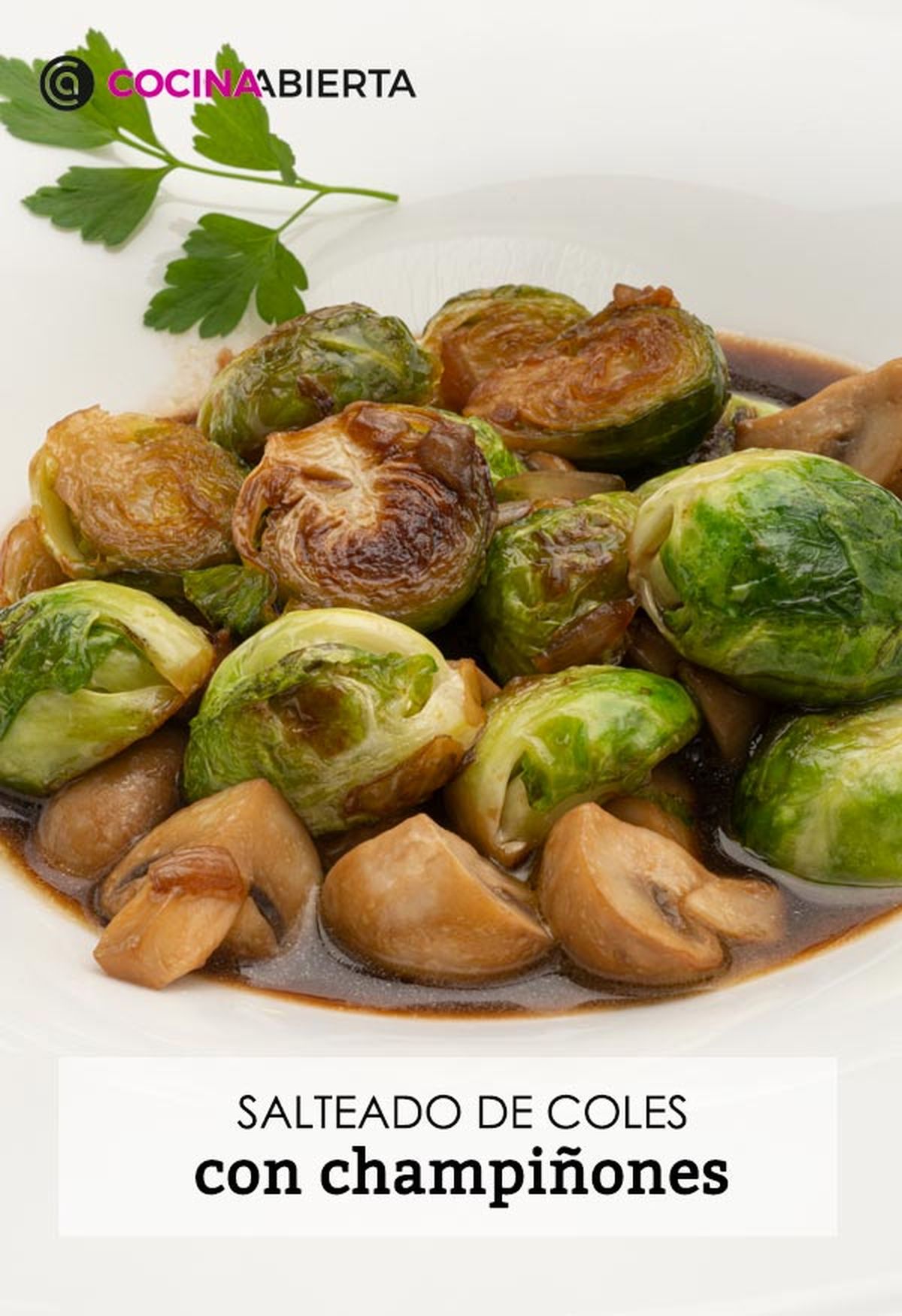 karl6656 salteado coles v