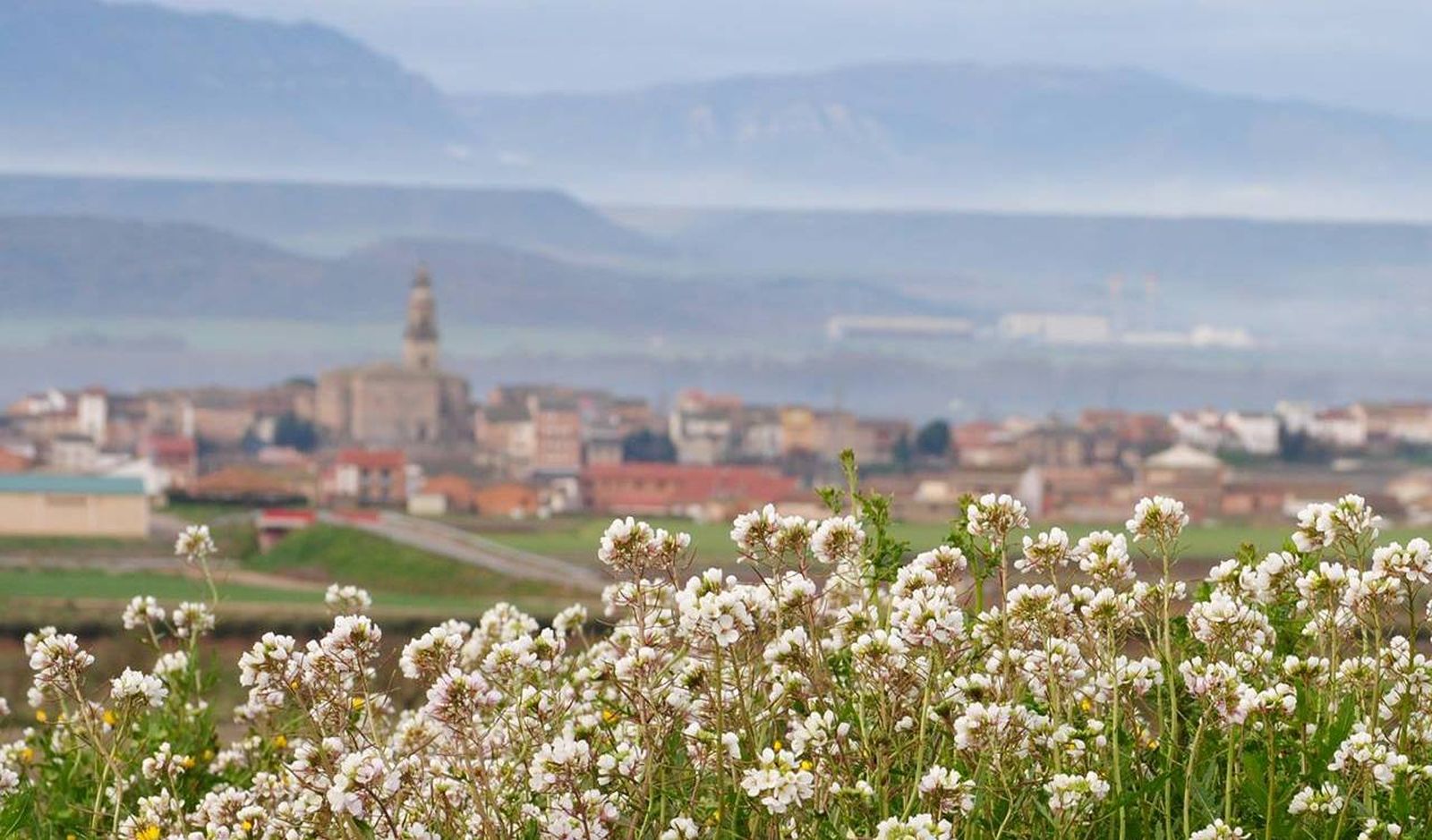 Mendavia, el pueblo con más Denominaciones de Origen de España