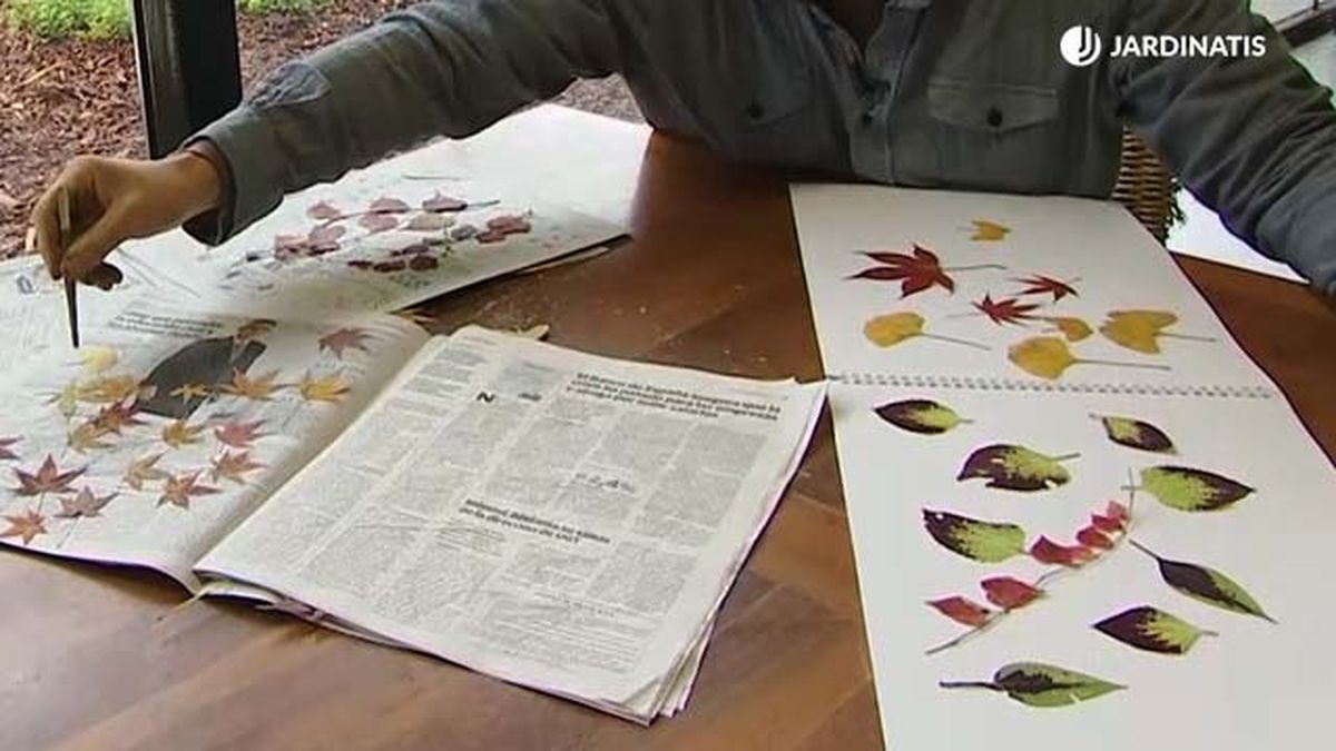 secar hojas con papel de periodico jardinatis deco 559