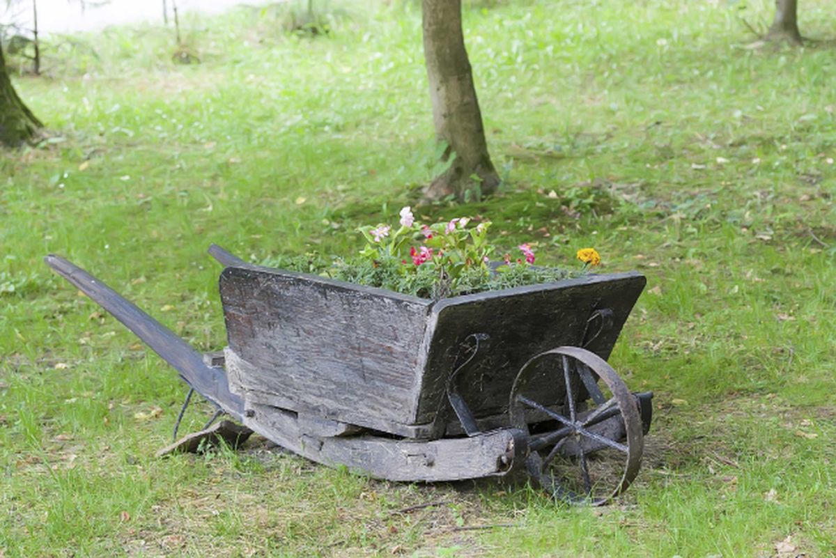 decorar el jardin con carretillas con plantas 6