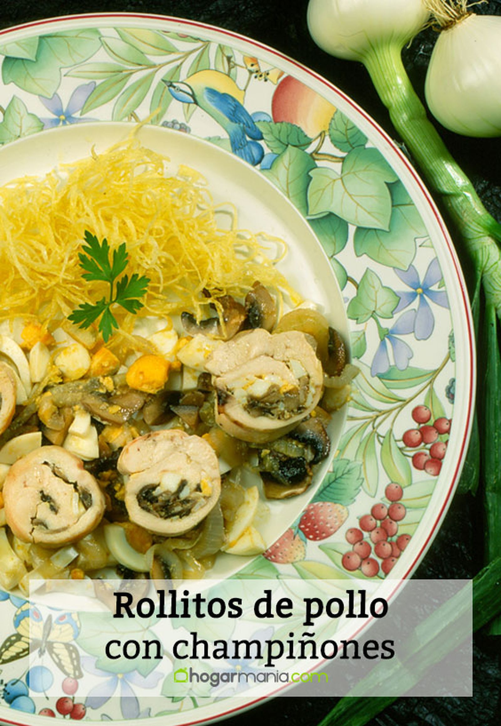 047 2 rollitos pollo pin