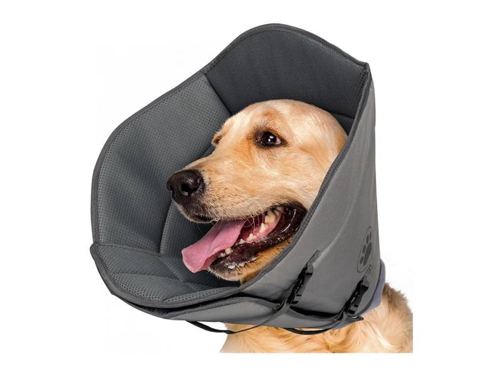DKDDSSS Collar Isabelino Perro.